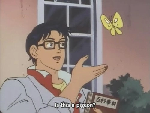 Meme del chico y la mariposa