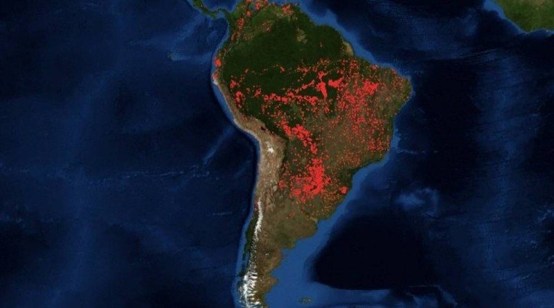 Fuego en el Amazonas