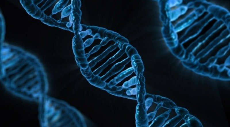 Secuencia de ADN