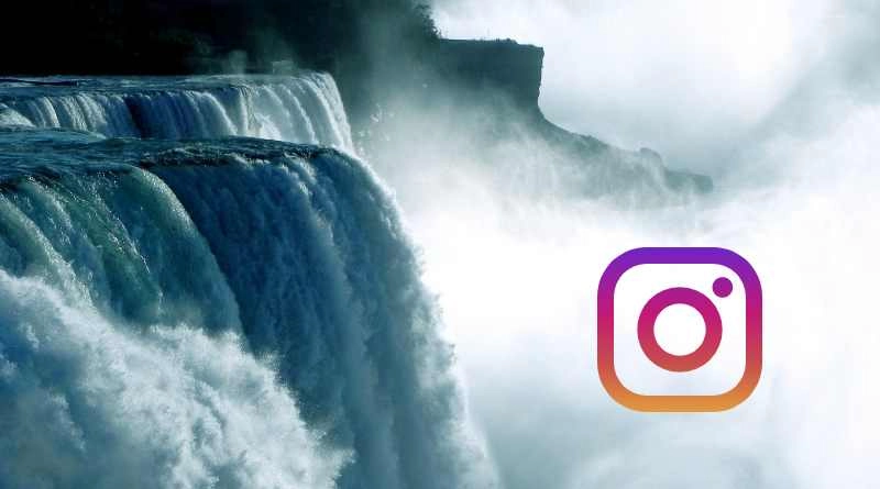 Cuentas de Instagram naturaleza