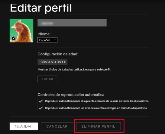 Eliminar perfil de Netflix, último paso