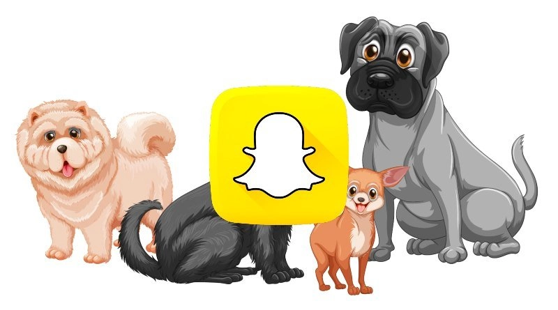 Mascota Disney Snapchat