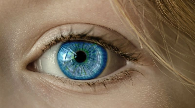 Cómo afectan los patrones visuales humanos al marketing