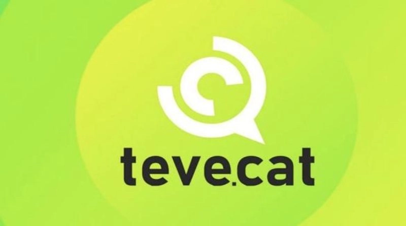 Logo TeveCat