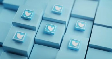 Twitter boton