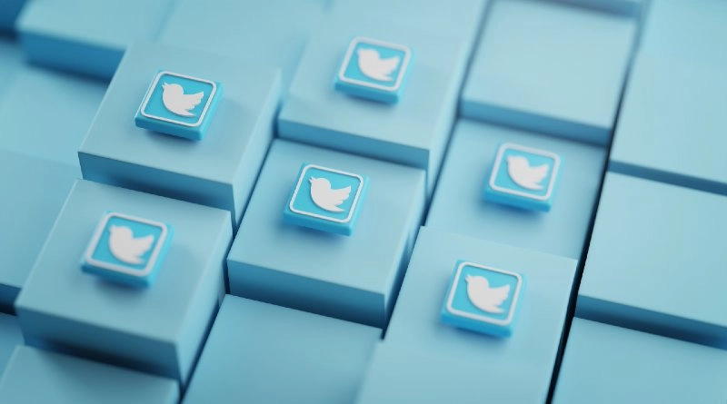 Twitter boton