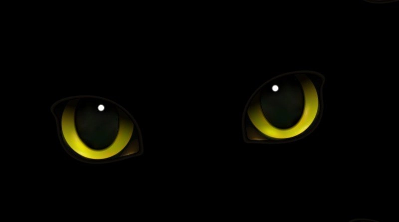 Ojo de gato