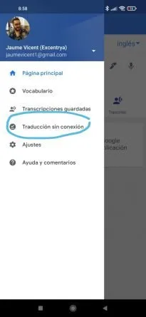 Descargar idiomas traductor de Google