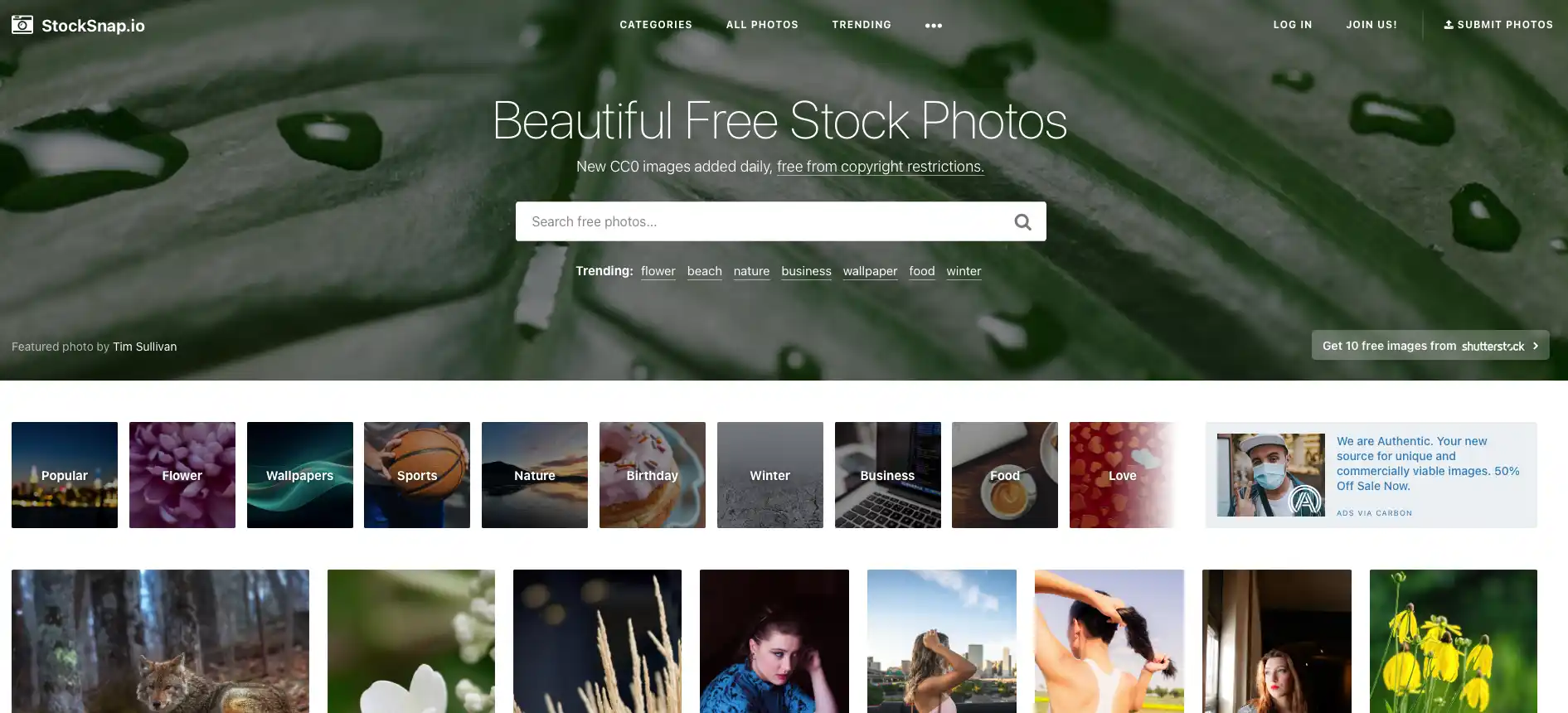 stock snap web
