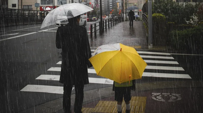 Listado de las mejores apps para medir la lluvia caída