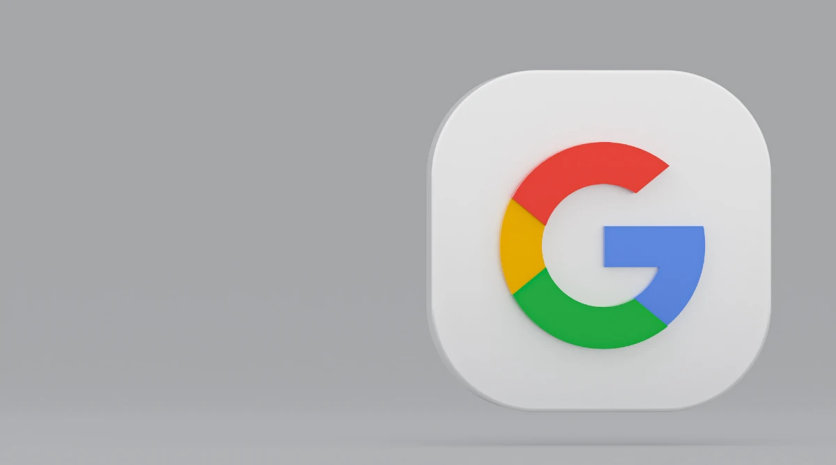 Google Logo fondo gris