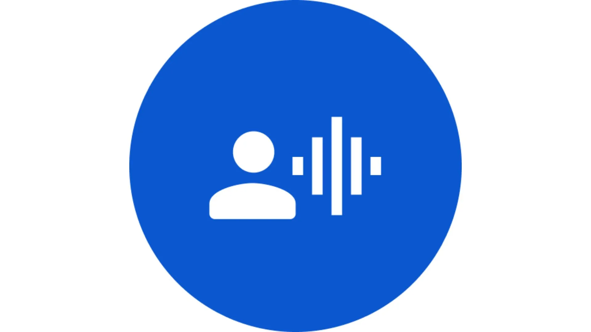 Qué es Voice Access